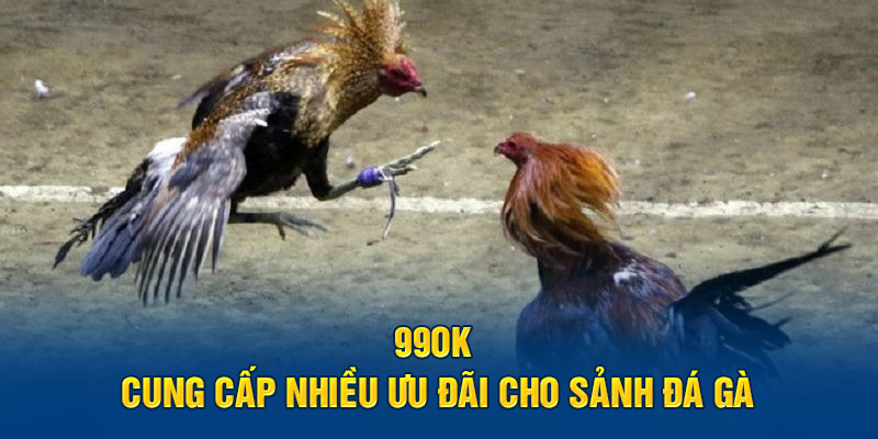 99OK cung cấp nhiều ưu đãi cho sảnh đá gà