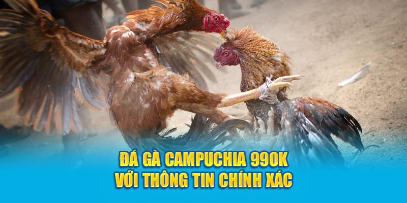 Đá gà Campuchia 99OK với thông tin chính xác